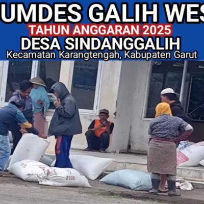 BUMDes Galih Wesi Dorong Ketahanan Pangan dan Kemandirian Ekonomi Warga Sindanggalih